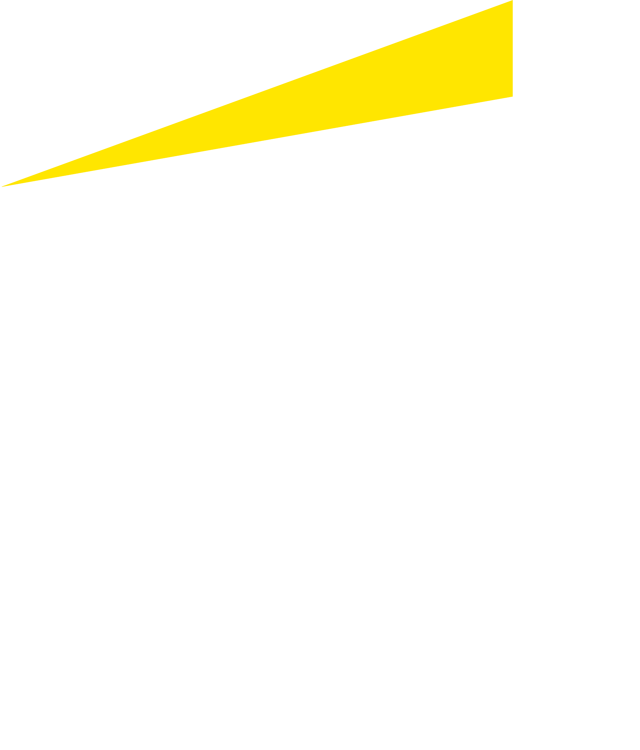 EY Logo